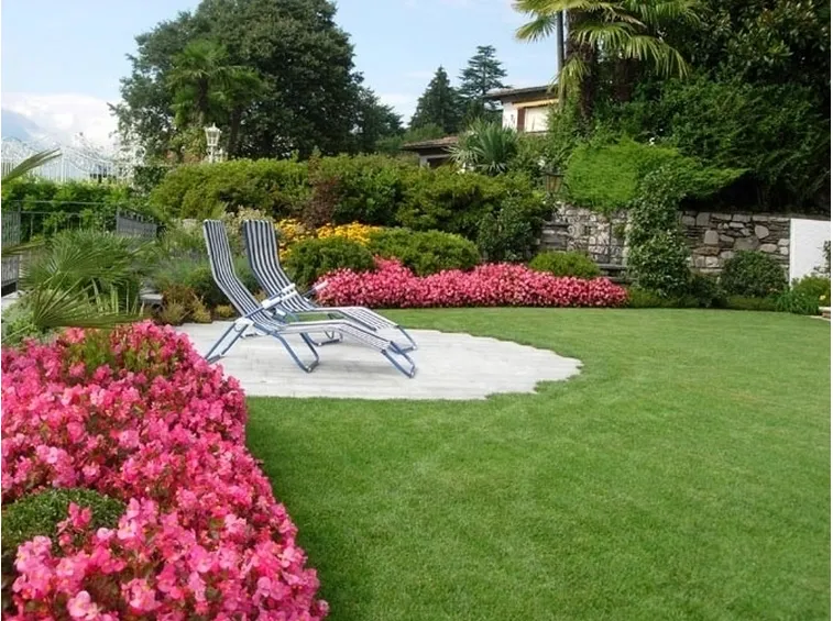 giardino oleandro rosa