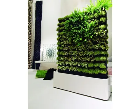 giardino verticale in casa