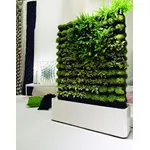 giardino verticale in casa