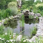 giardinoacqua1_zps86913d49