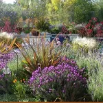 Essempio di giardino mediterraneo