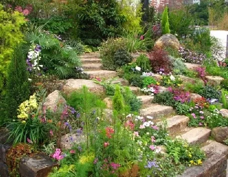 Un angolo di giardino