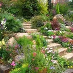 Un angolo di giardino