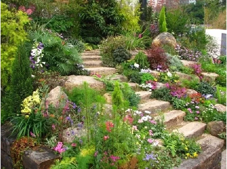 Un angolo di giardino
