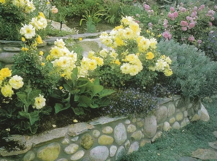 muretto con fiori