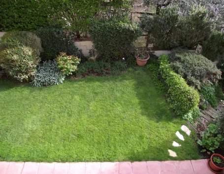 Piccolo giardino con arbusti