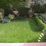 Piccolo giardino con arbusti