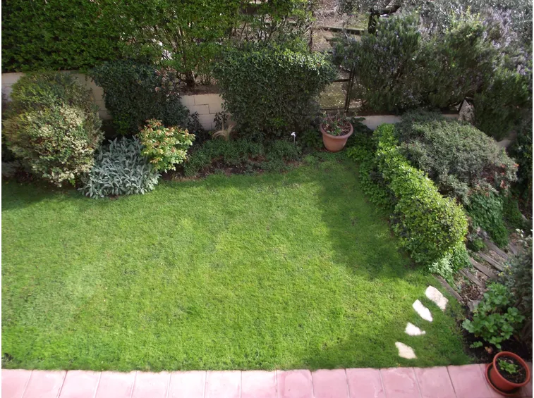 Piccolo giardino con arbusti