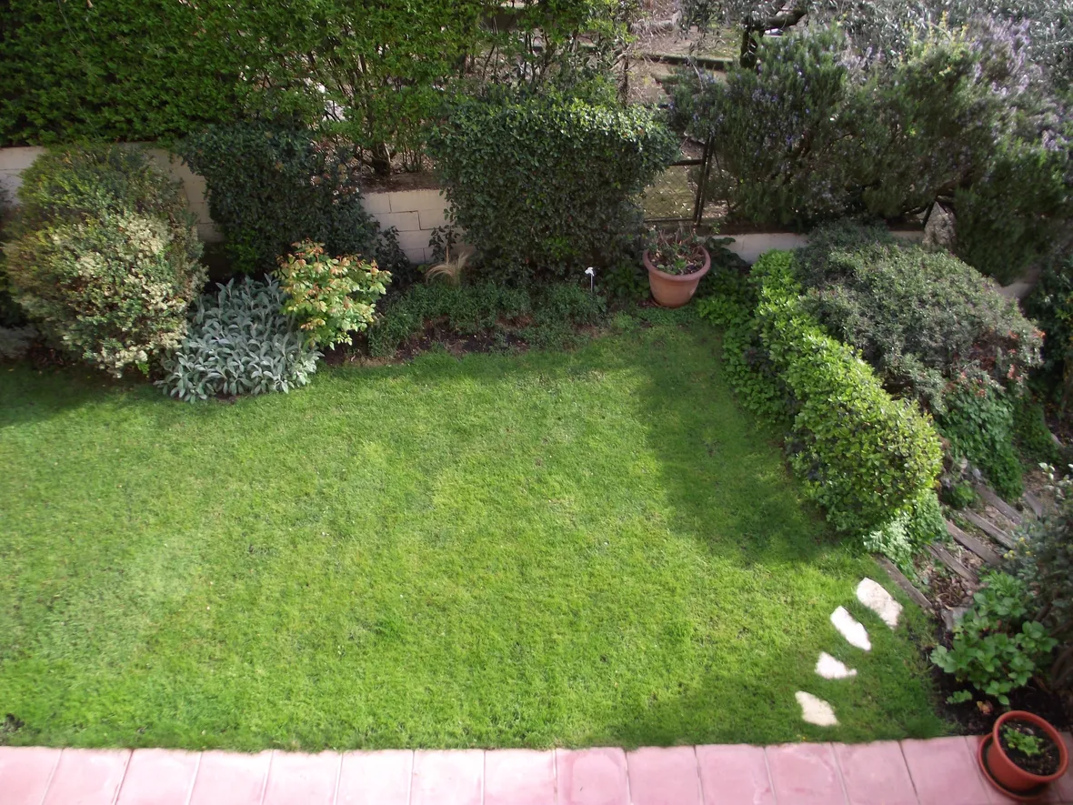 Piccolo giardino con arbusti