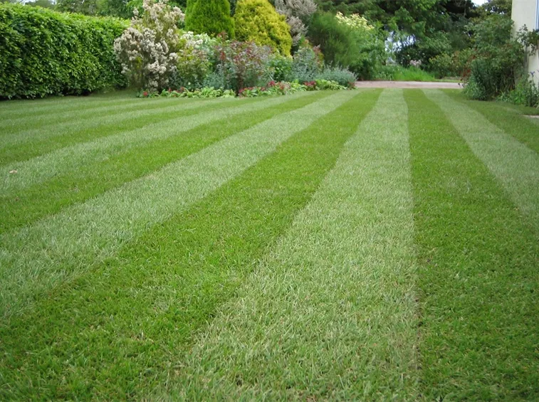 Giardino inglese 