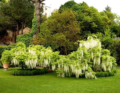 Giardino privato