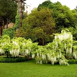Giardino privato