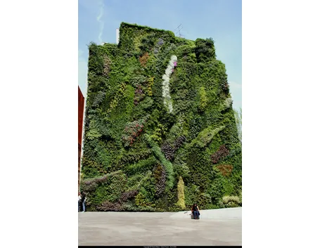 Un giardino verticale