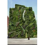 Un giardino verticale