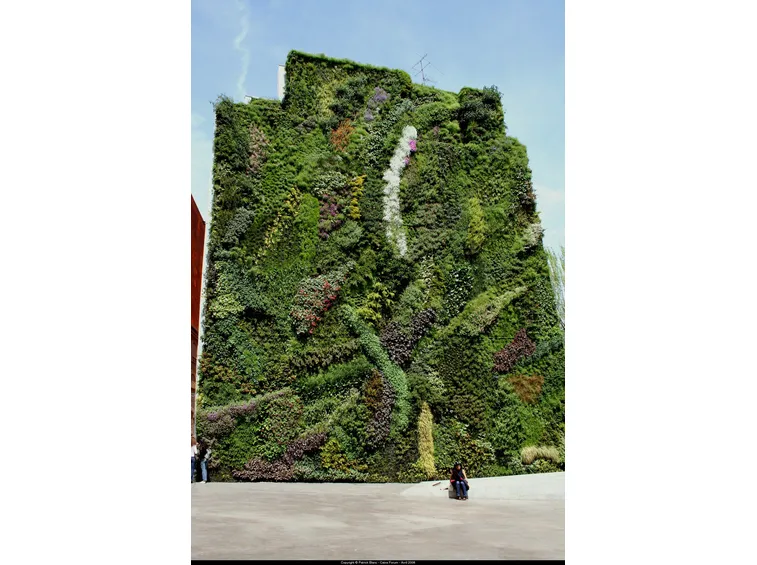 Un giardino verticale