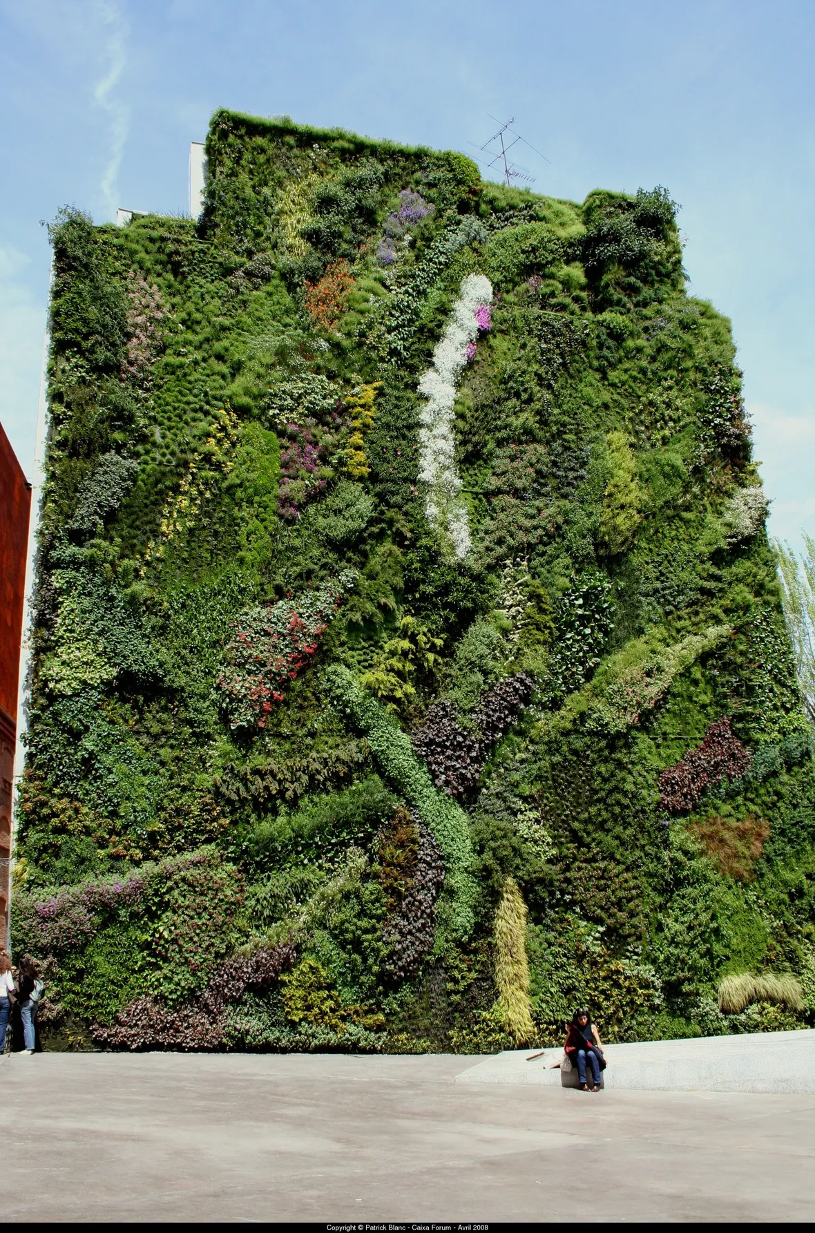 Un giardino verticale