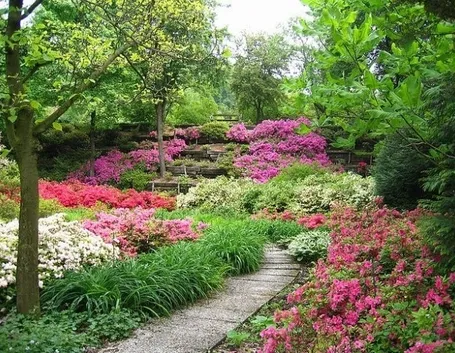 Realizzare un giardino fiorito