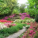 Realizzare un giardino fiorito