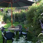 Un piccolo giardino