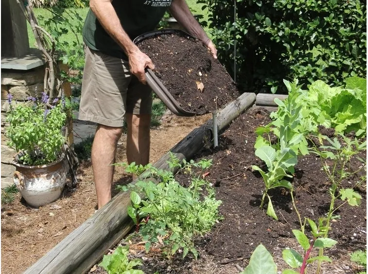 Compostaggio del terreno di un'aiuola