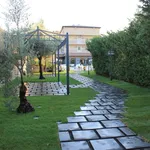 Esempio di vialetto da giardino