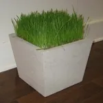 Esempio di fioriera in cemento