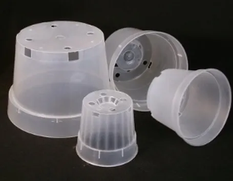 Vasi in plastica per orchidee