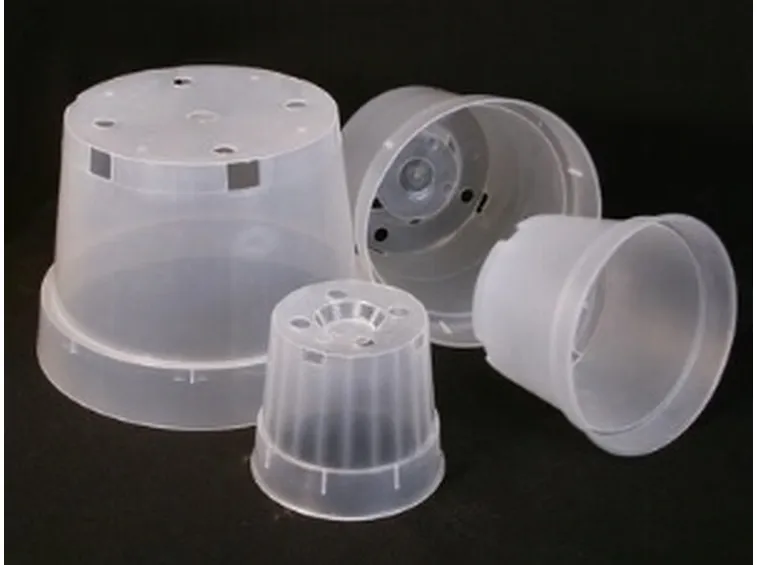 Vasi in plastica per orchidee
