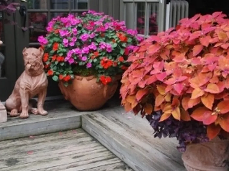 Vasi per balcone