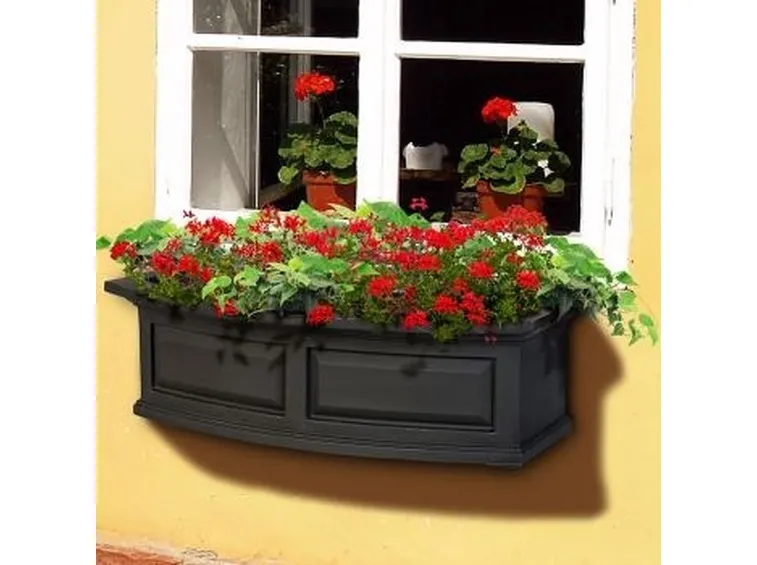balcone fiori.