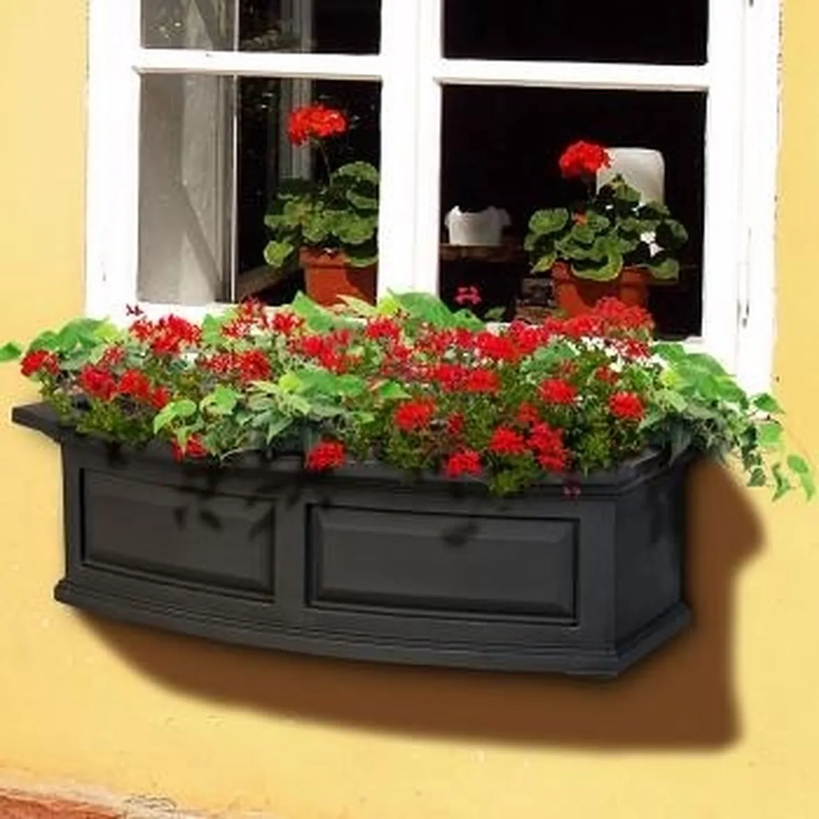 balcone fiori.