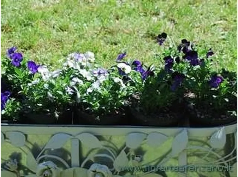 arredare giardino
