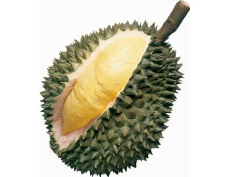 Frutto di Durian