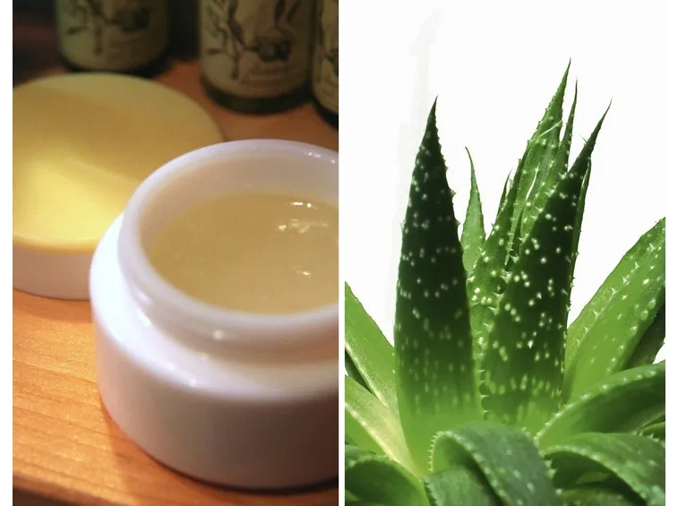 barattolo d'impacco d'Aloe fatto in casa