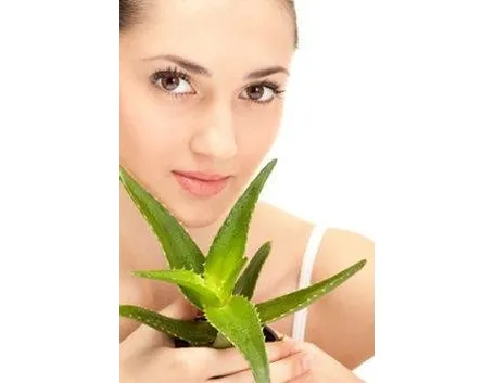salute con aloe