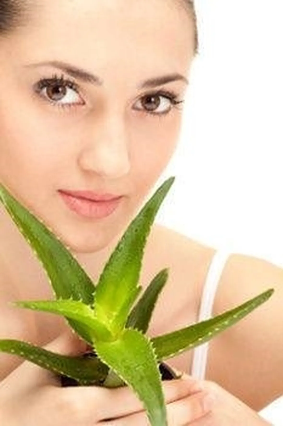 salute con aloe