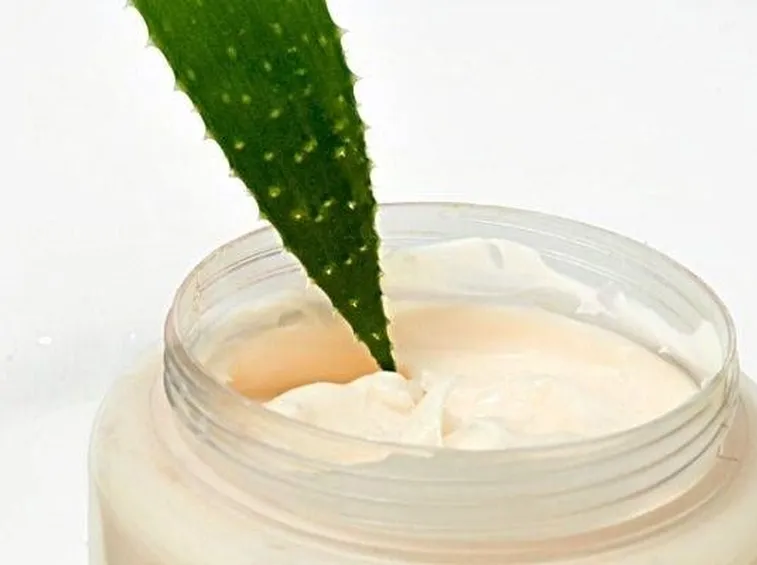 Aloe e cosmetici  Fonte foto ( http://web-images.chacha.com )