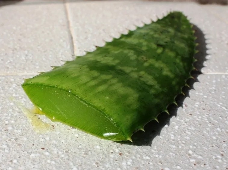 aloe vera gel