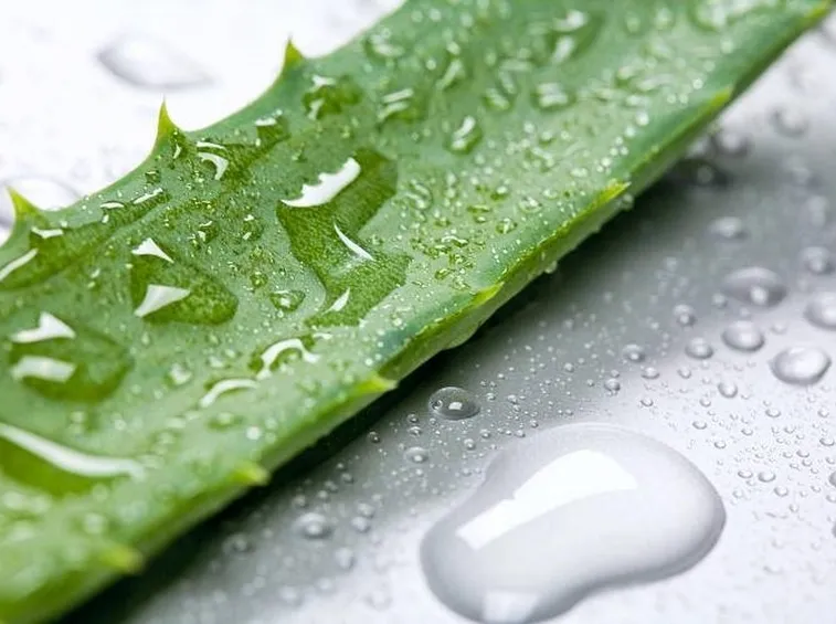 Succo di aloe da bere