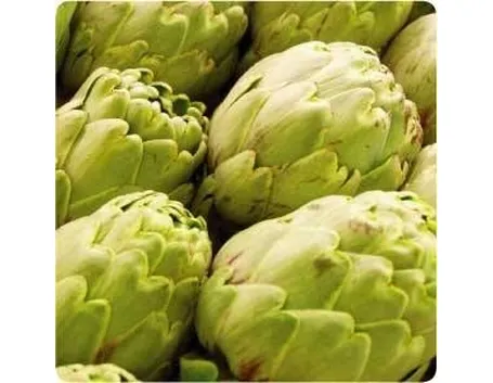 Decotto carciofo