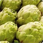 Decotto carciofo