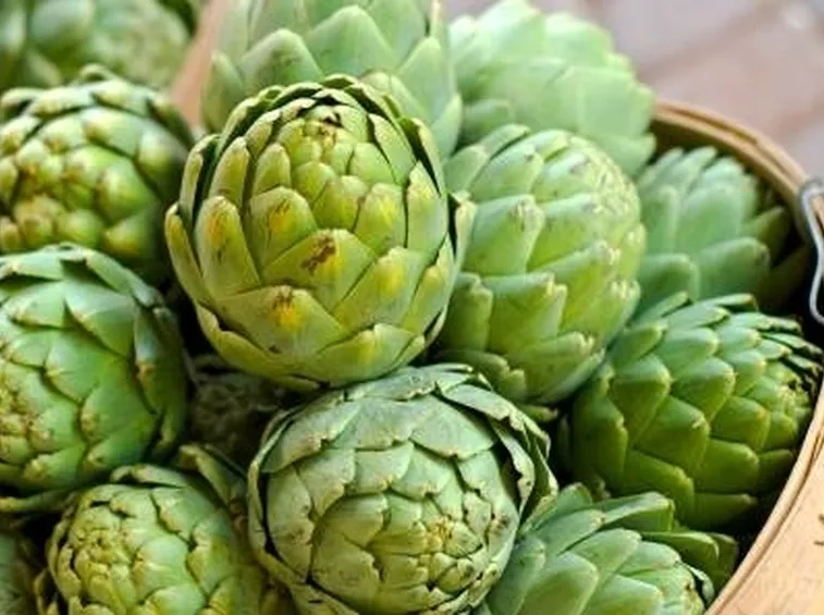 Decotto di carciofo