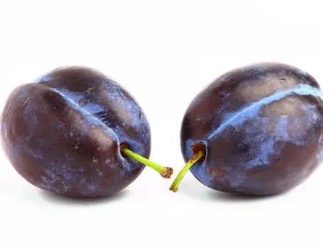 prugne fresche