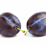 prugne fresche