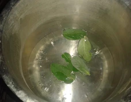Decotto di salvia