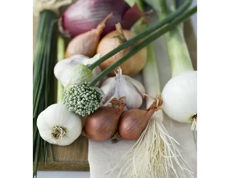 Aglio compresse