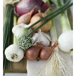 Aglio compresse