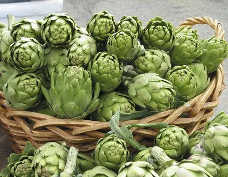 Estratto secco di carciofo