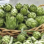 Estratto secco di carciofo