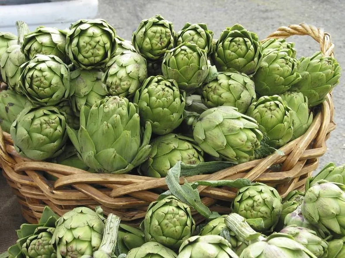 Estratto secco di carciofo